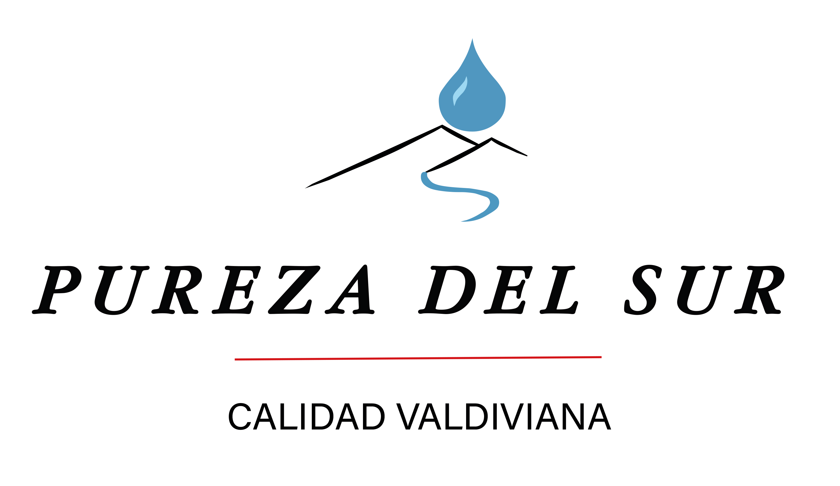 Pureza del Sur